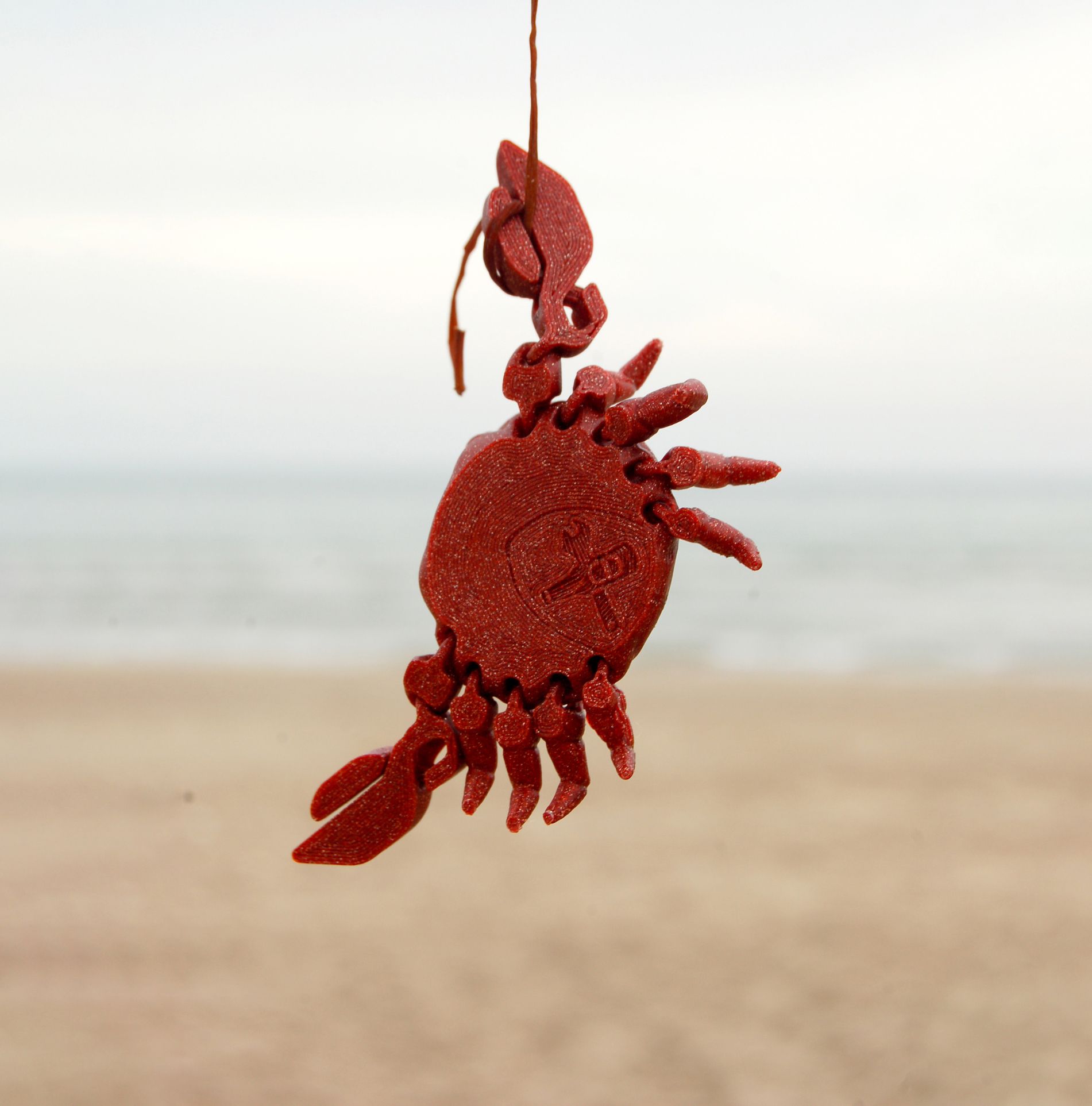 Articulated Crab