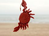 Articulated Crab-2