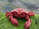Articulated Crab-1