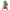 Ayame