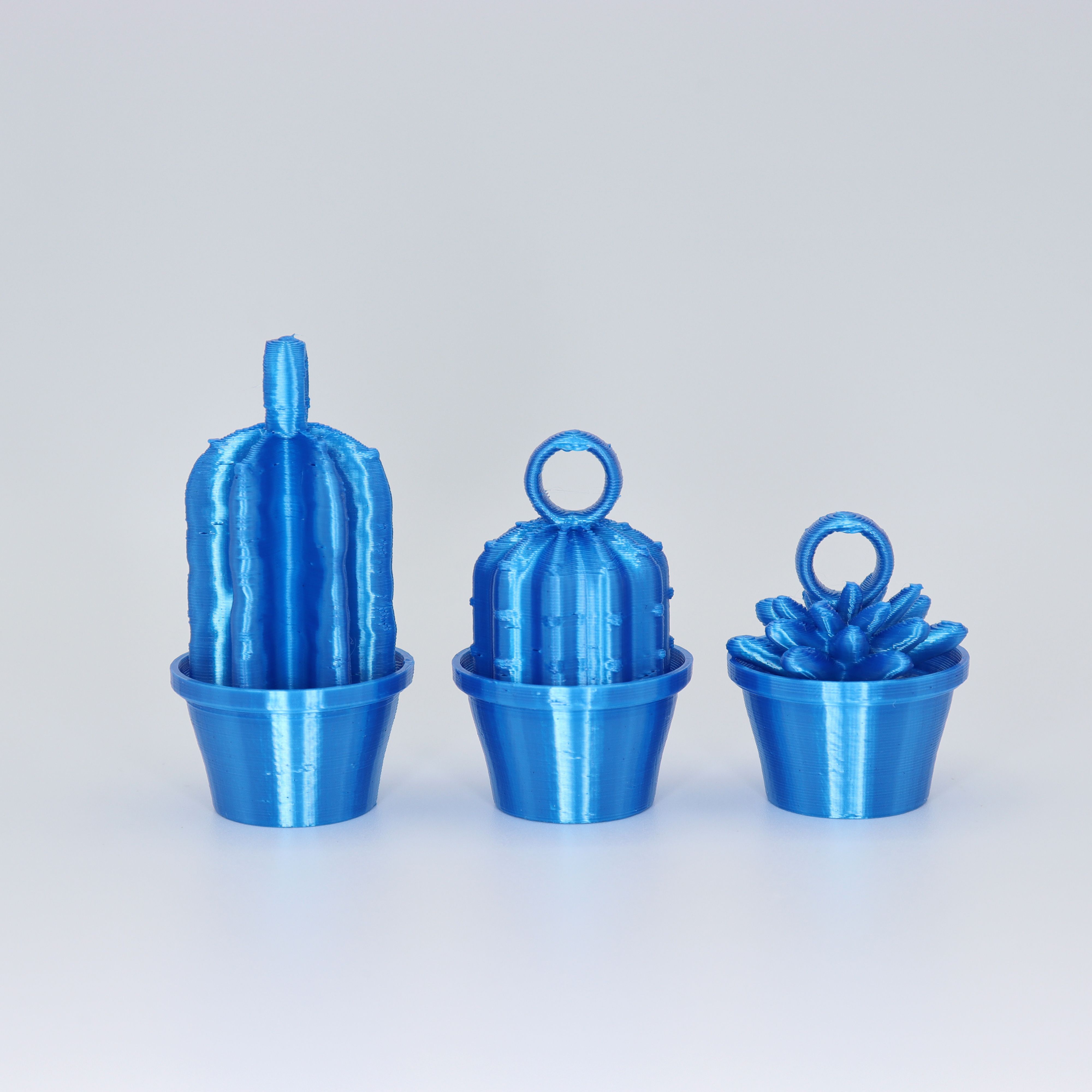 Cactus Keychains 3d Models Download Creality Cloud 