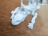 chimuelo dragón-8