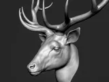 deer-0