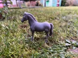 Calm horse-1