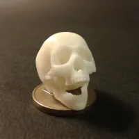 Punk skeleton-1-0