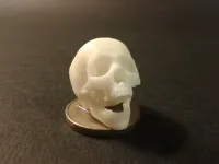 Punk skeleton-1-0