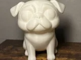 Pug-3
