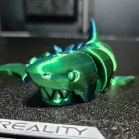 curled shark-0