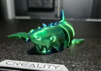curled shark-0