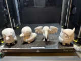 Canada Goose-3