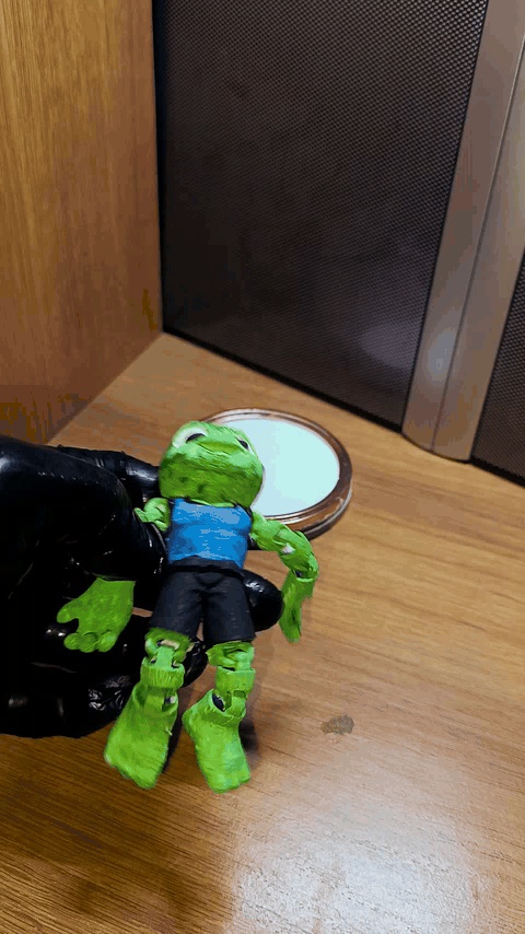 tortuga-4