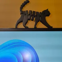 Flexi cat-2
