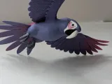ببغاء محلّق-2