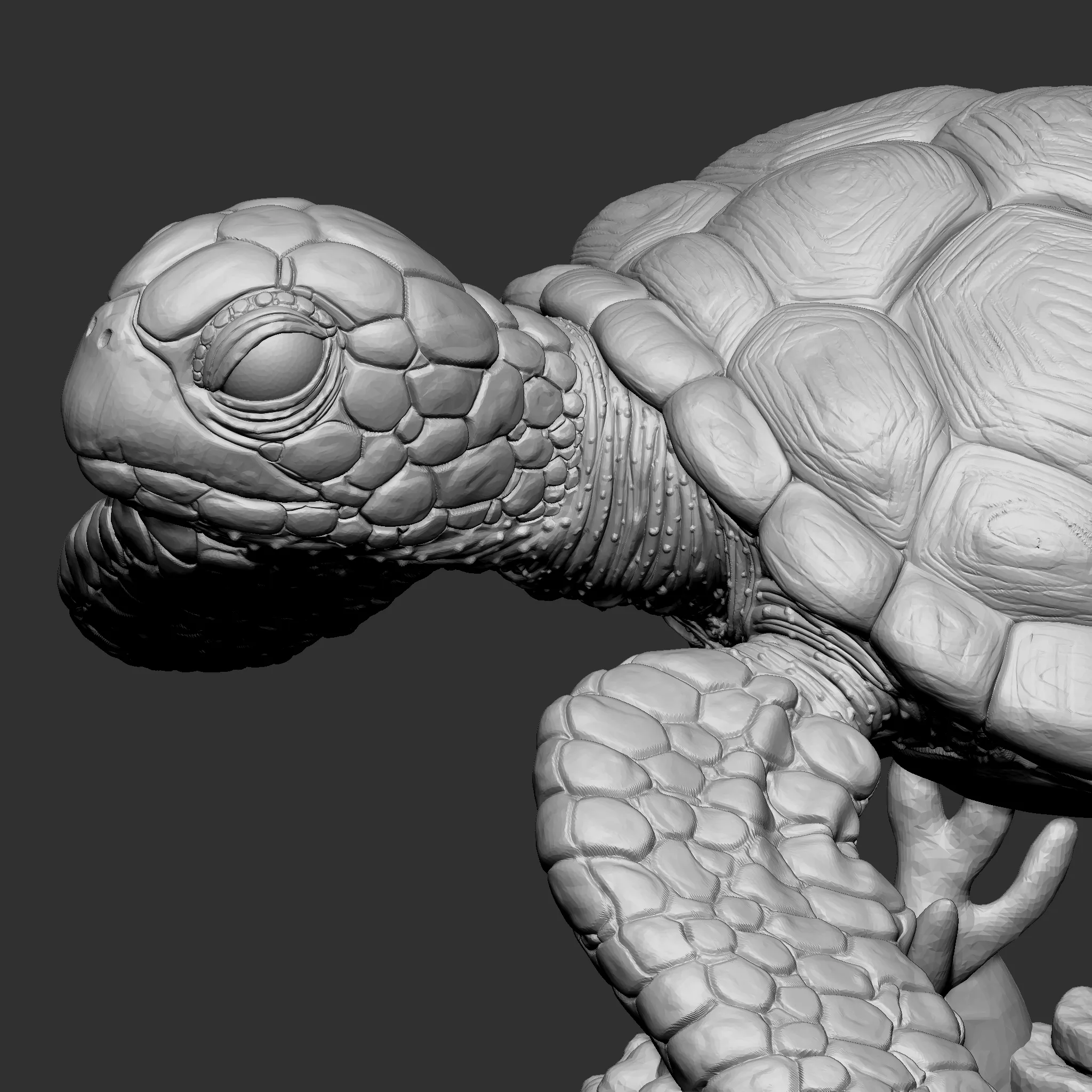 Green sea turtle 3D print model
