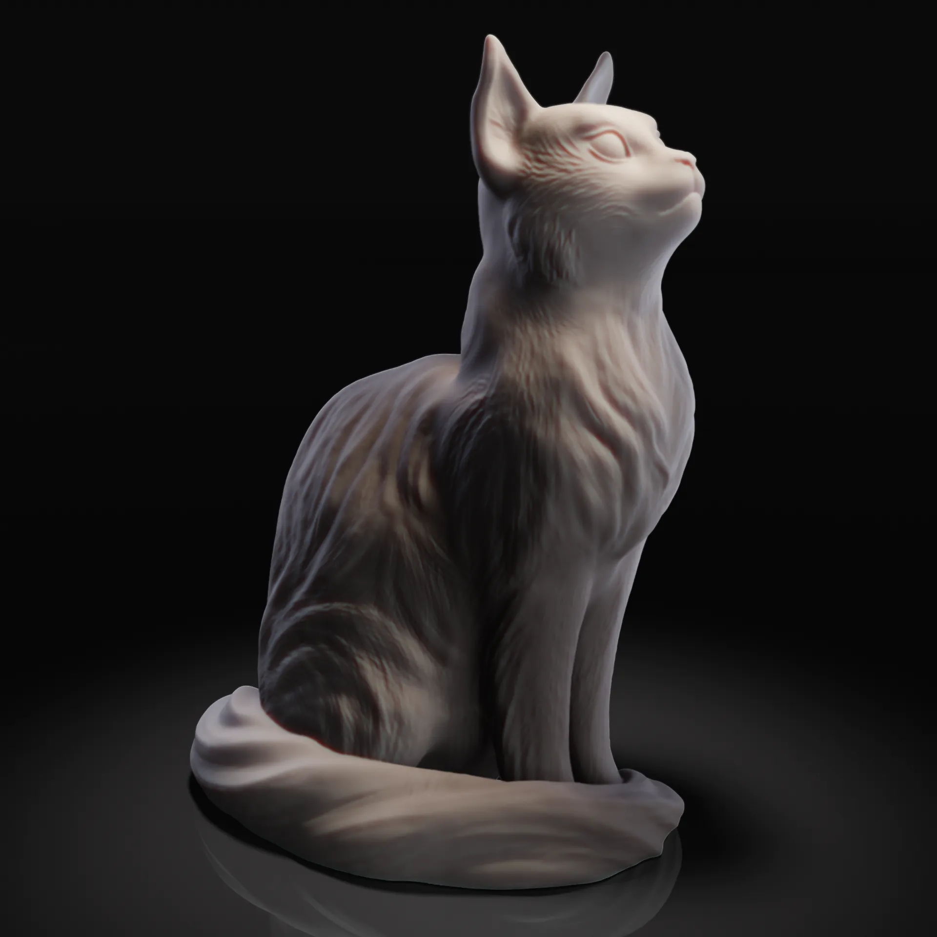 Sitting cat