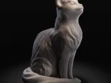 Sitting cat-0