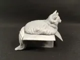 Fat cat in box-4