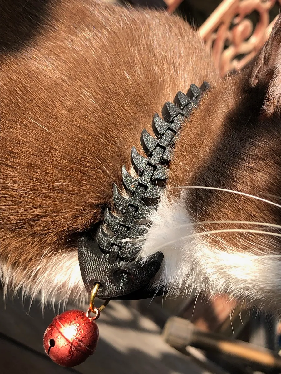 fish bone to cat collar