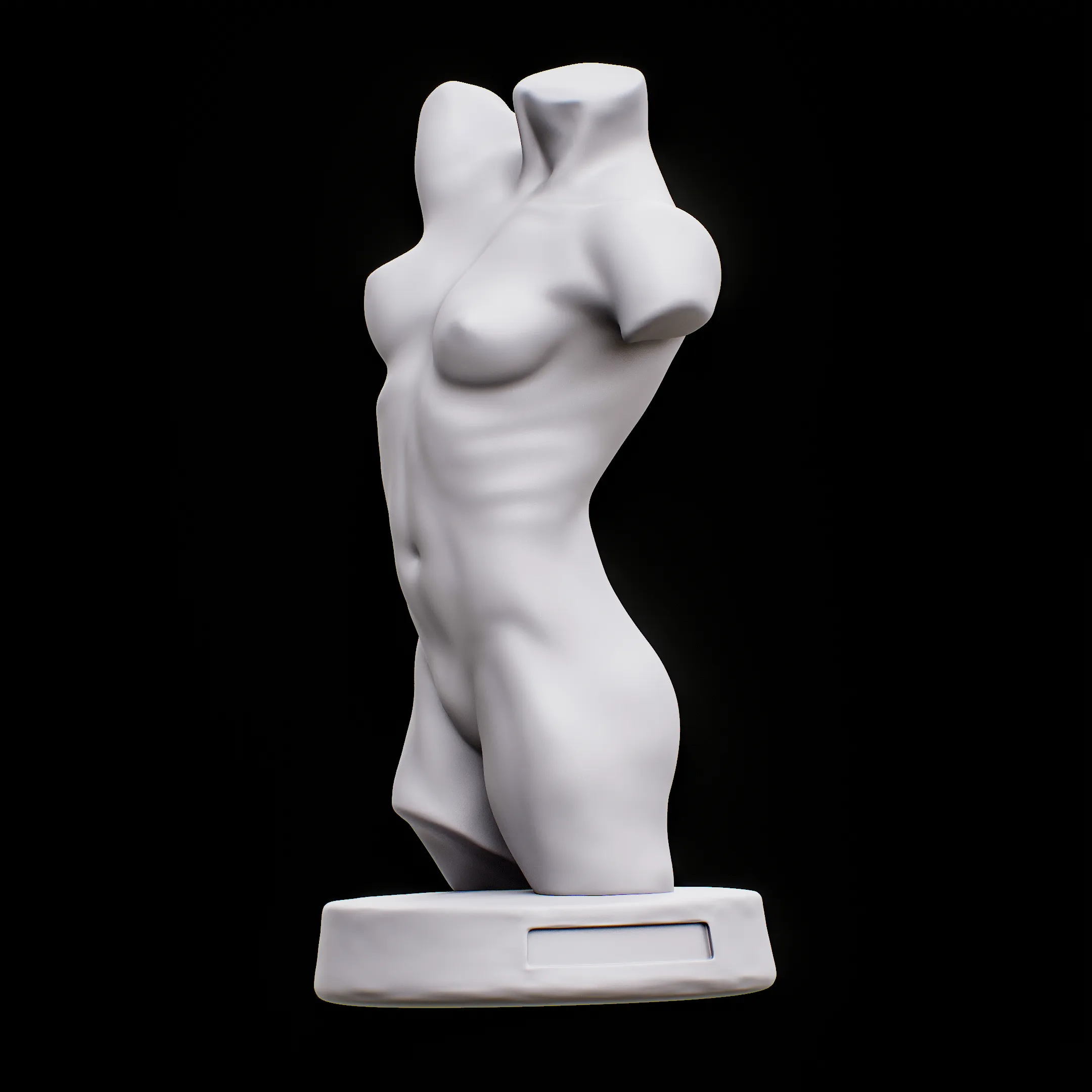 Female Torso for drawing art reference Muscle human Torso