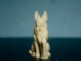 German Shepherd-1
