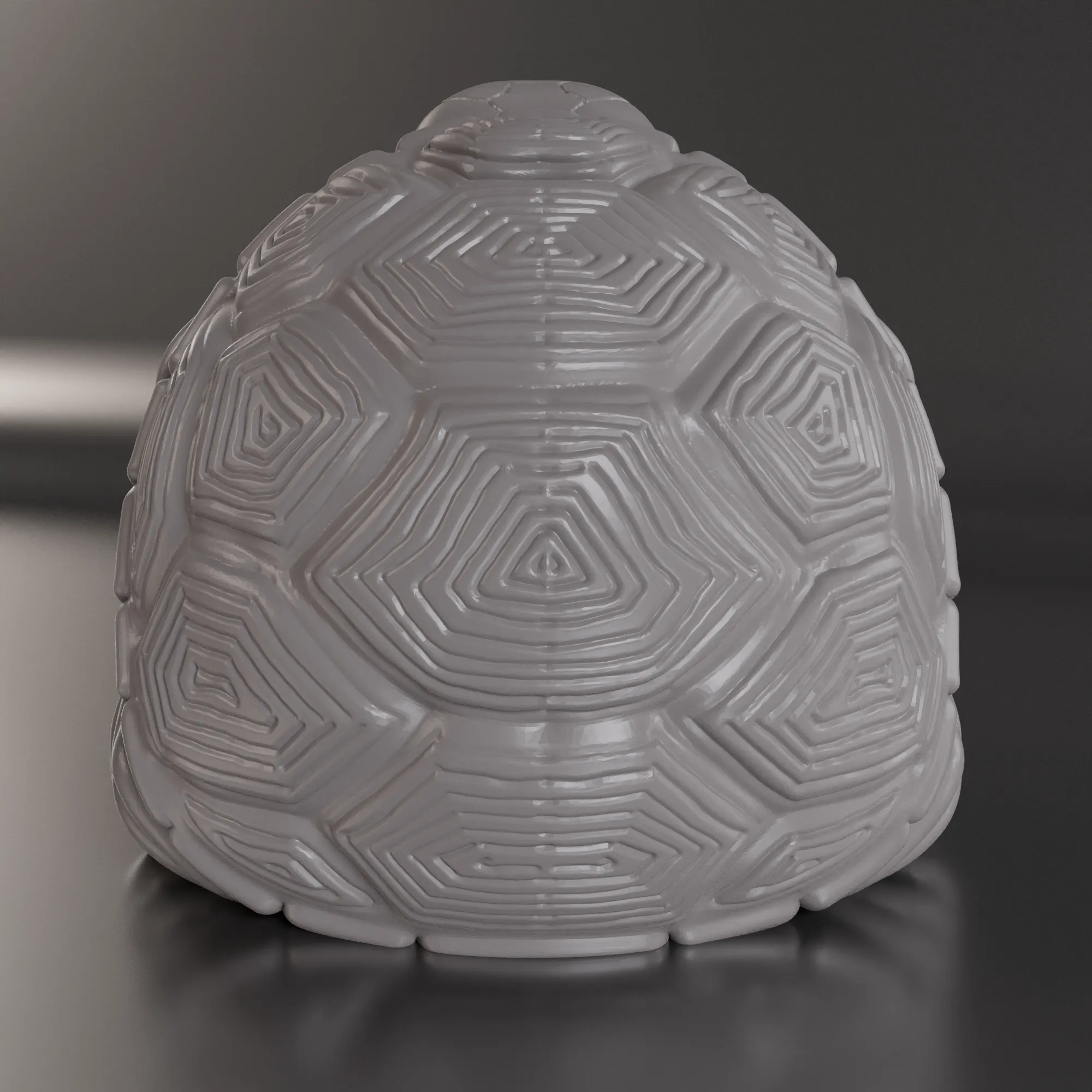 ÜBERGEWICHTIGE SCHILDKRÖTE