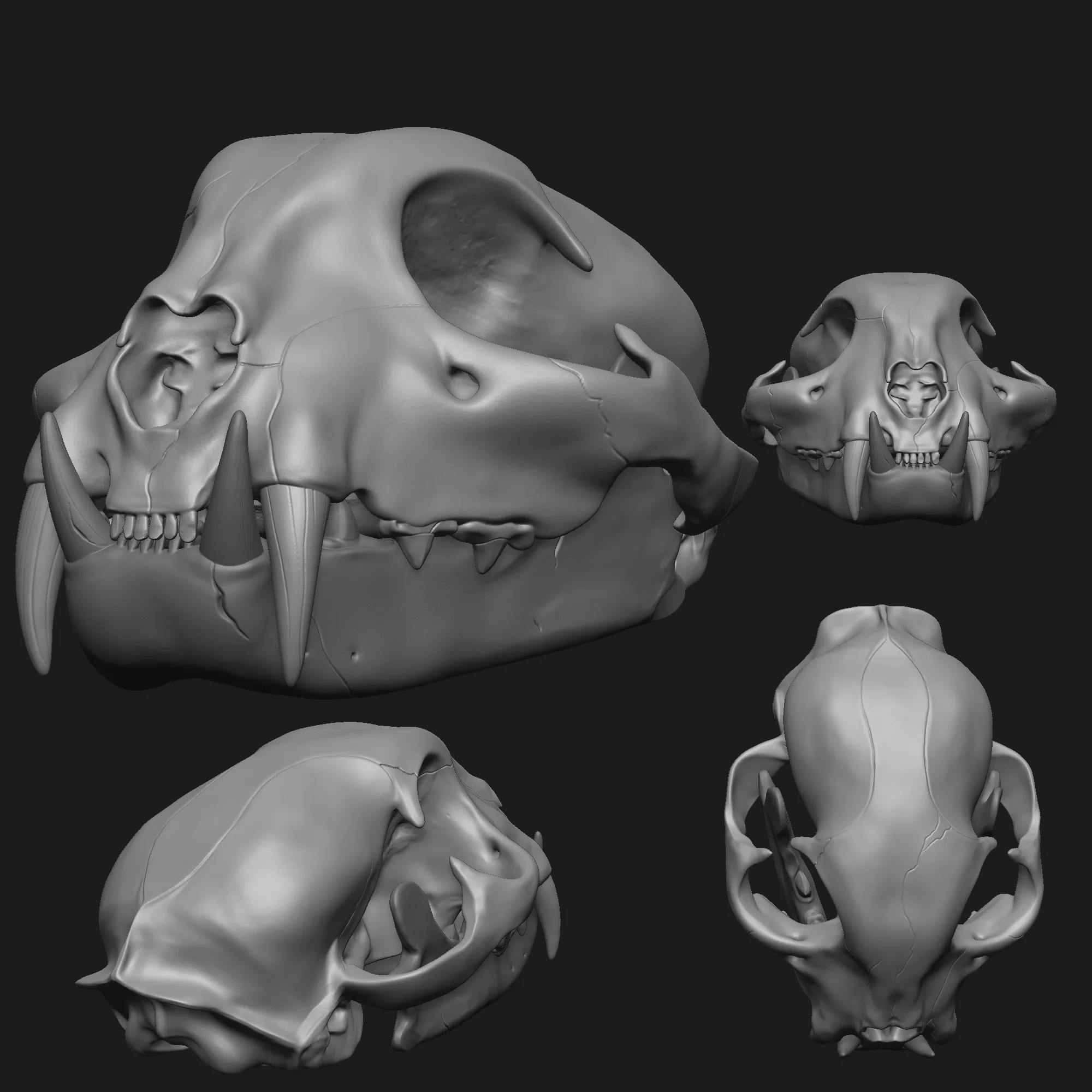 props-terrain-stl-download-bobcat-skullby-galaxiarum-3d