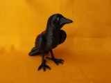 Crow-5