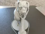 Chickdawg-5