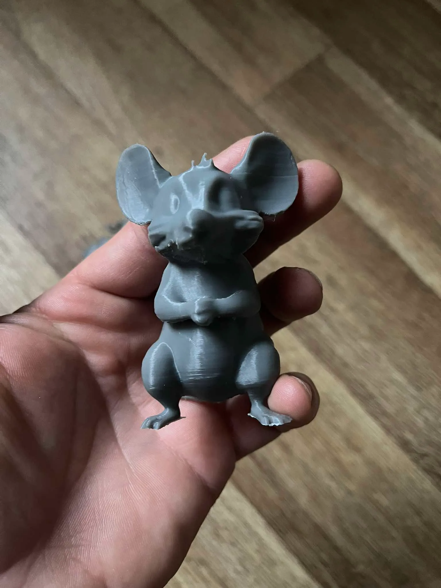 Cute rat family