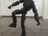 Buff Dummy 13-1