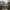Lightcacher Clamp Andoer 85 f1.8 - Sankor 16D Anamorphic