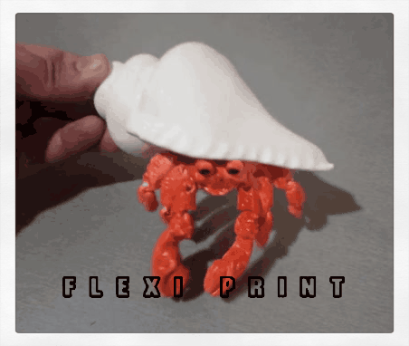 Hermit crab (cute, semi-realistic)