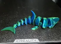 curled shark-2
