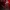 ARLECCHINO GENSHIN IMPACT
