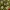 Voronoi Christmas Tree Ornament Collection - 5 Models