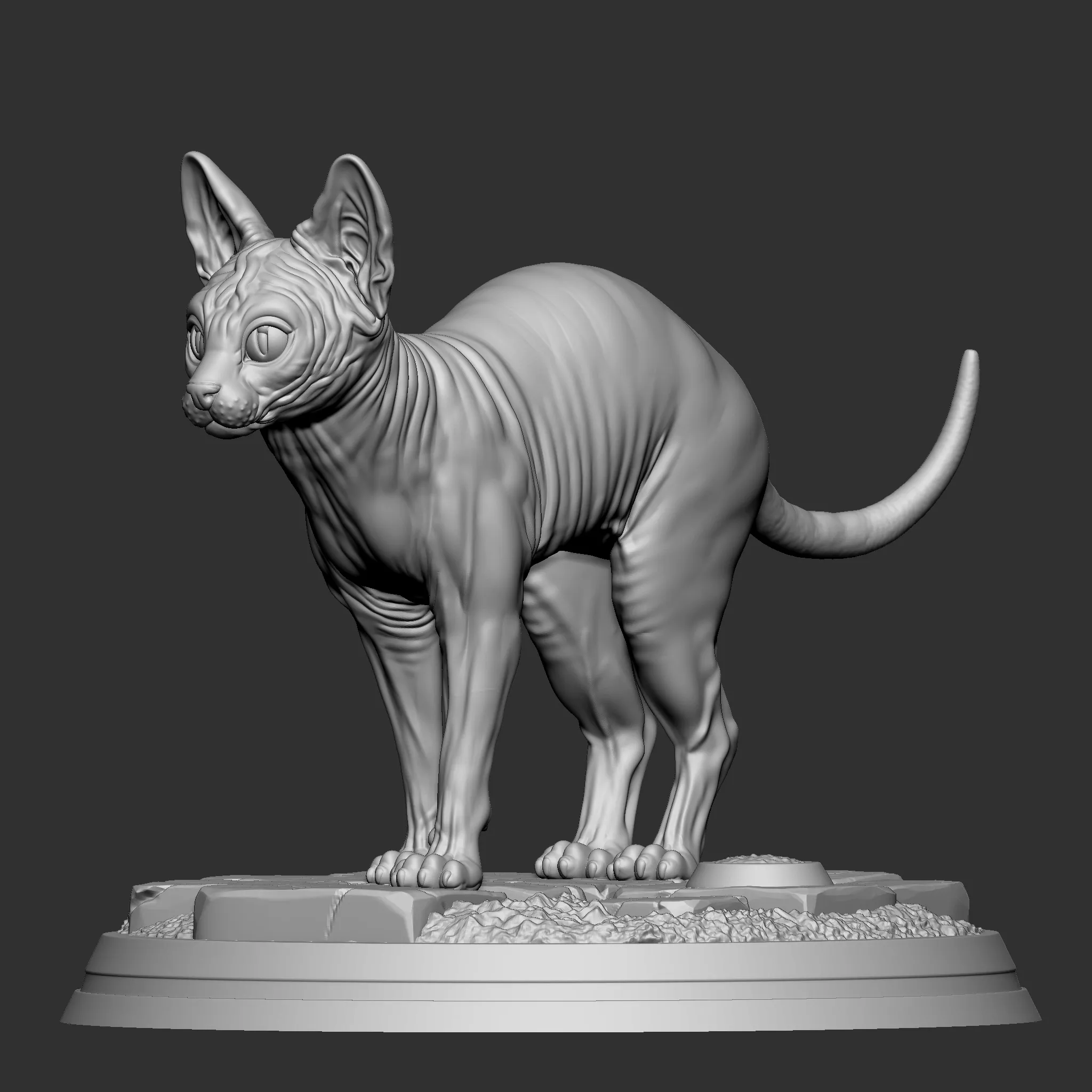Sphynx-Katze