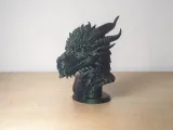 Busto del Drago della Tempesta-2