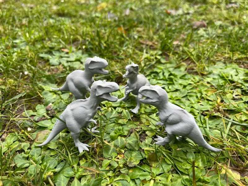 Tyrannosaurus dinosaur
