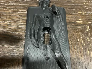Renaissance Light Switch Cover David