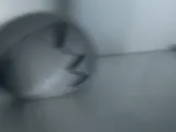 Easter Egg - Cracked-2