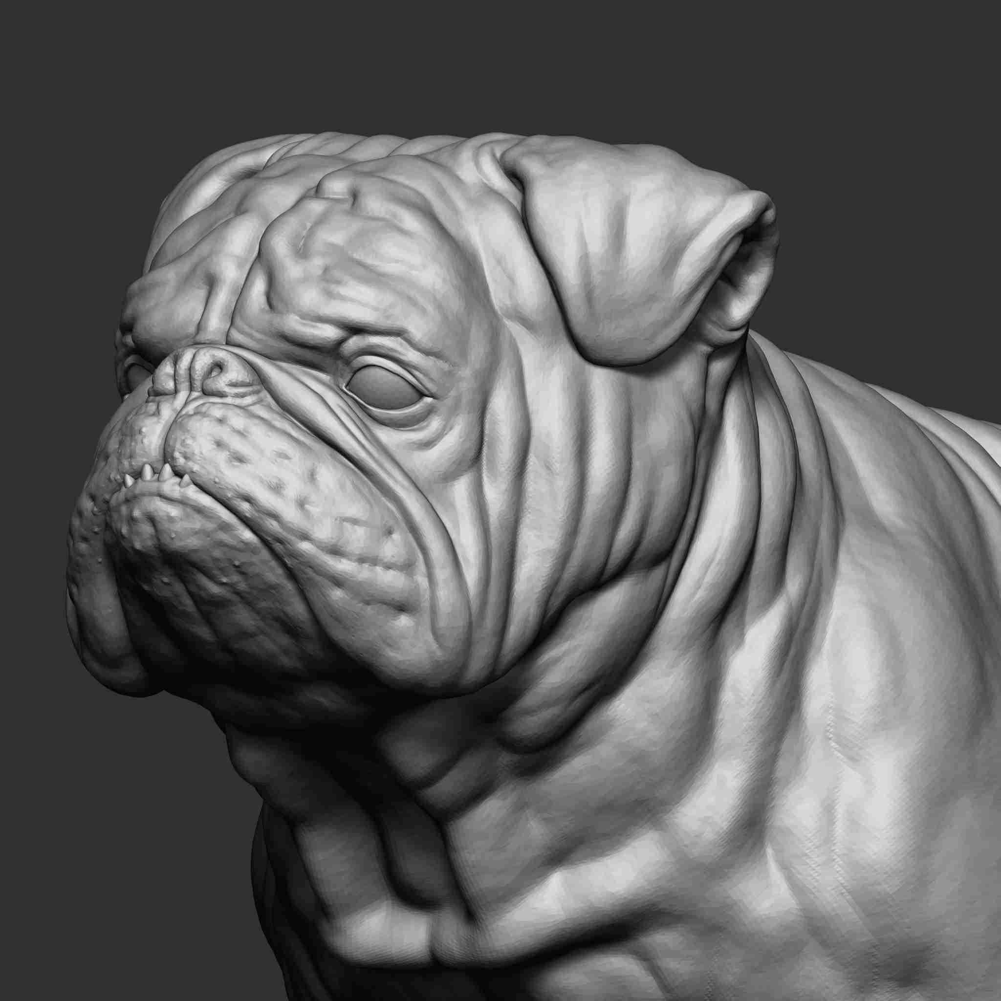 Bulldog | 3D models download | Creality Cloud