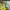 Mashin Sentai Kiramager Kira Yellow cosplay helmet 3D