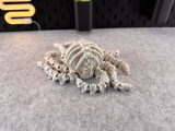 Articulated Skeleton Octopus-5