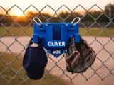 Dugout Buddy 2-1