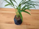 Diamond Hexagonal Planter-4