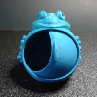 Frog keeps jewelry (not support)-6
