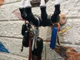 Dragon Claw Key Mount-3