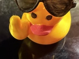 Pato Legal-4