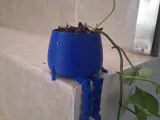 Maceta feliz flexi-2