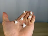 Mini Tooth Buddy-1